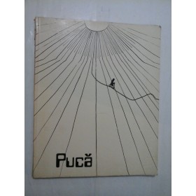 Florin  Puca  - cuvant inainte de   Fanus  Neagu (album)